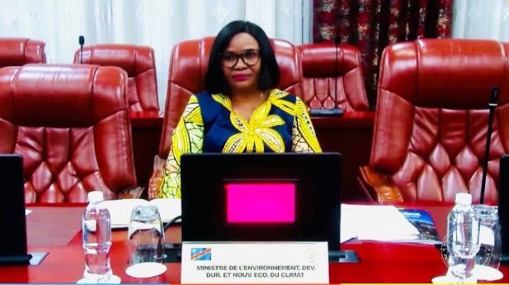 RDC : le gouvernement adopte une stratégie nationale de valorisation et de monétisation des ressources forestières